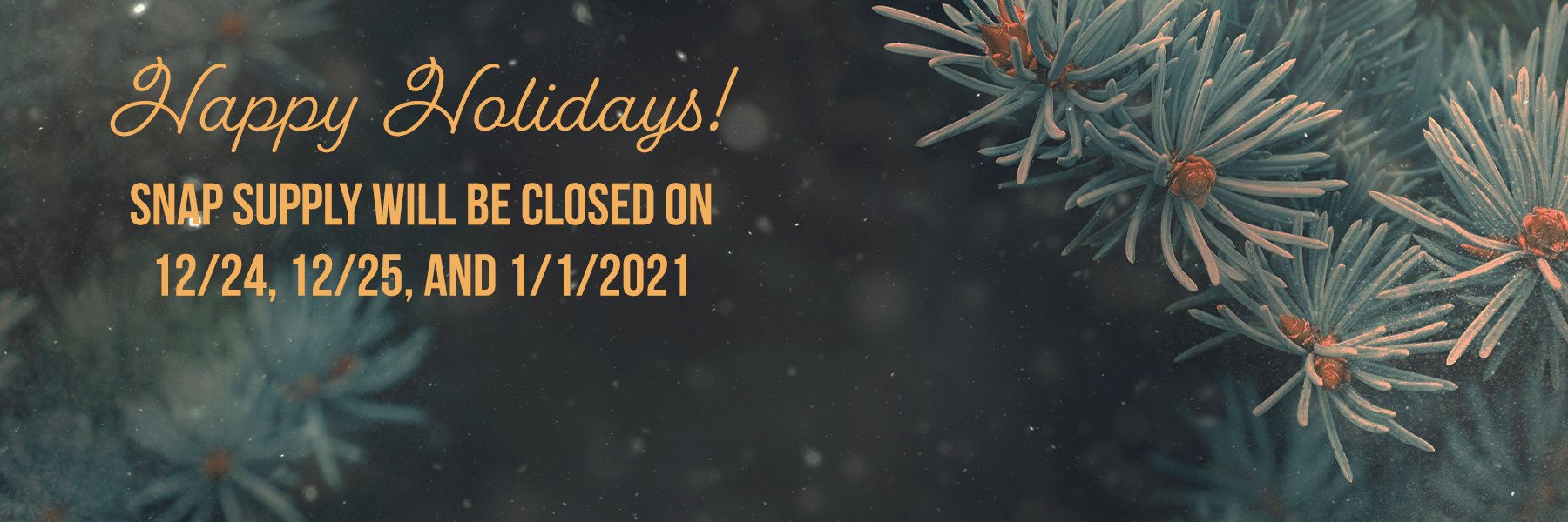 Happy Holidays! Snap Supply will be closed on 12/24, 12/25, and 1/1/2021 - Snap Supply