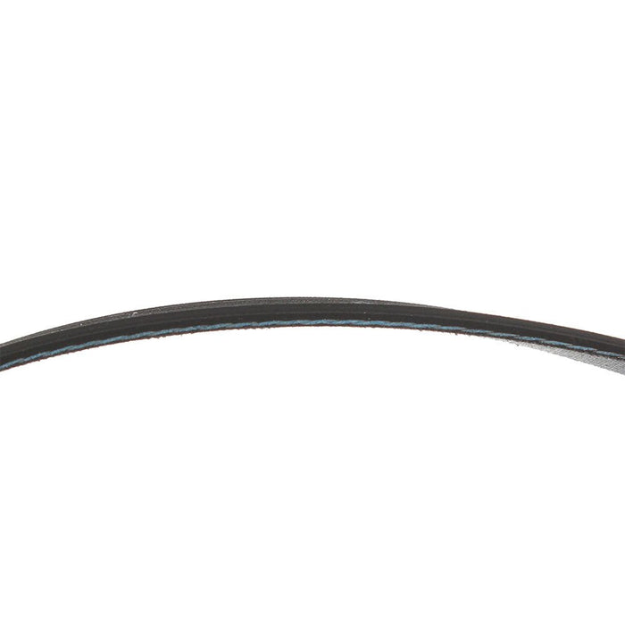 6602 - 001655 Dryer Belt for Samsung - Snap Supply - Belt - Dryer Belt - Laundry